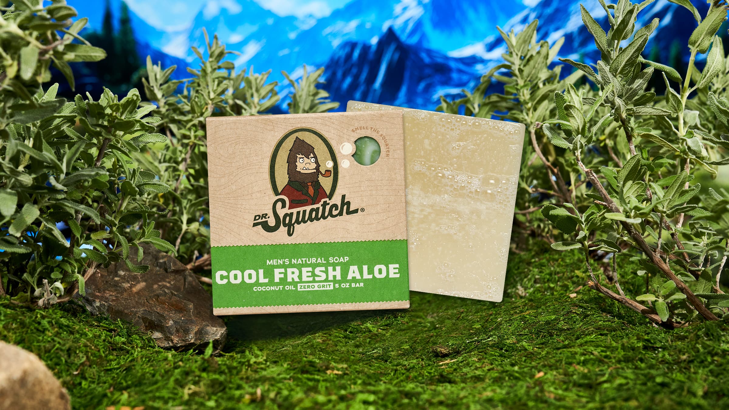 Alpine Sage - Image 3