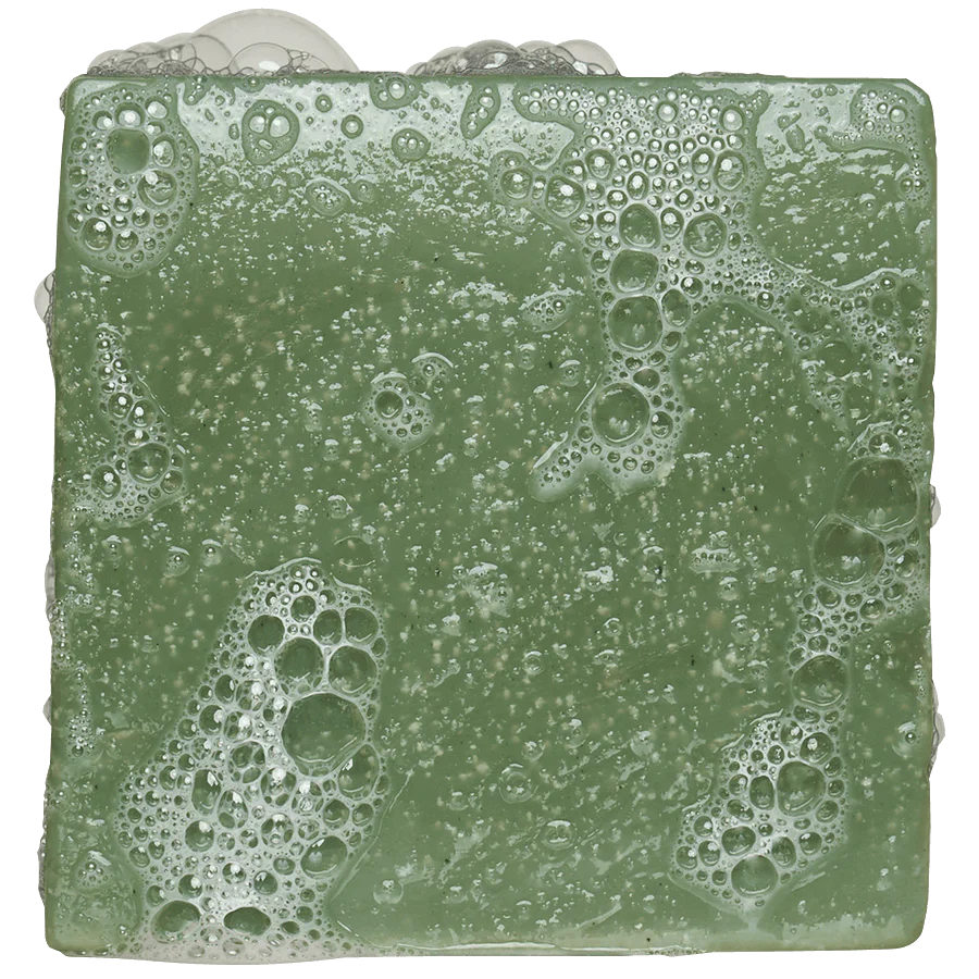 Essential Trial Kit: Rainforest Rapids - Image 2