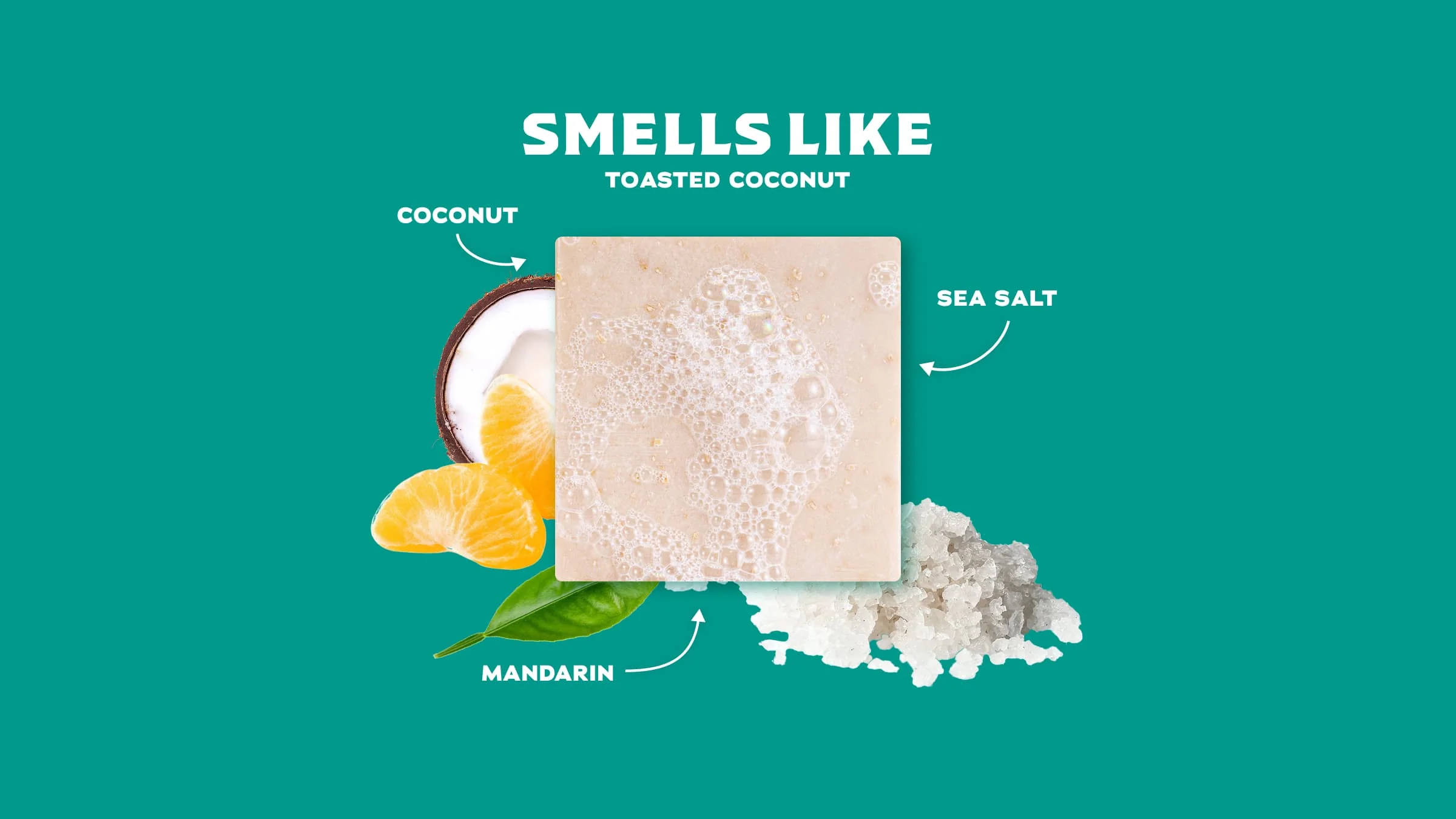 Essentials: Coconut Castaway Soap - Image 4