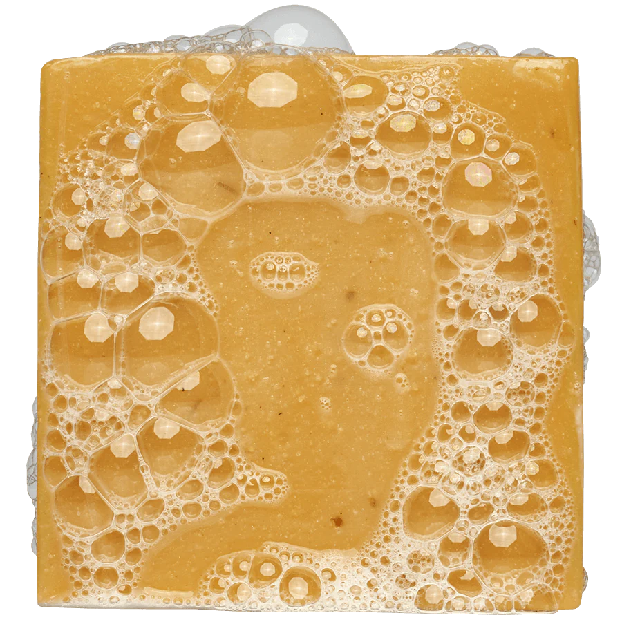 Lather of the Loyal - Image 6