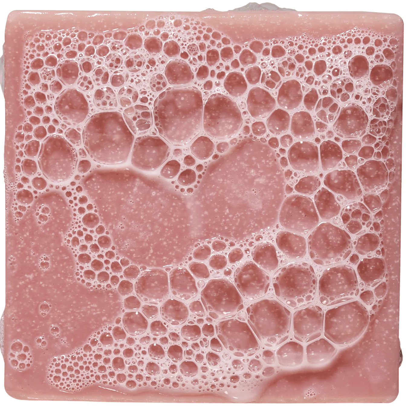 Sea Star Shenanigans - Image 3