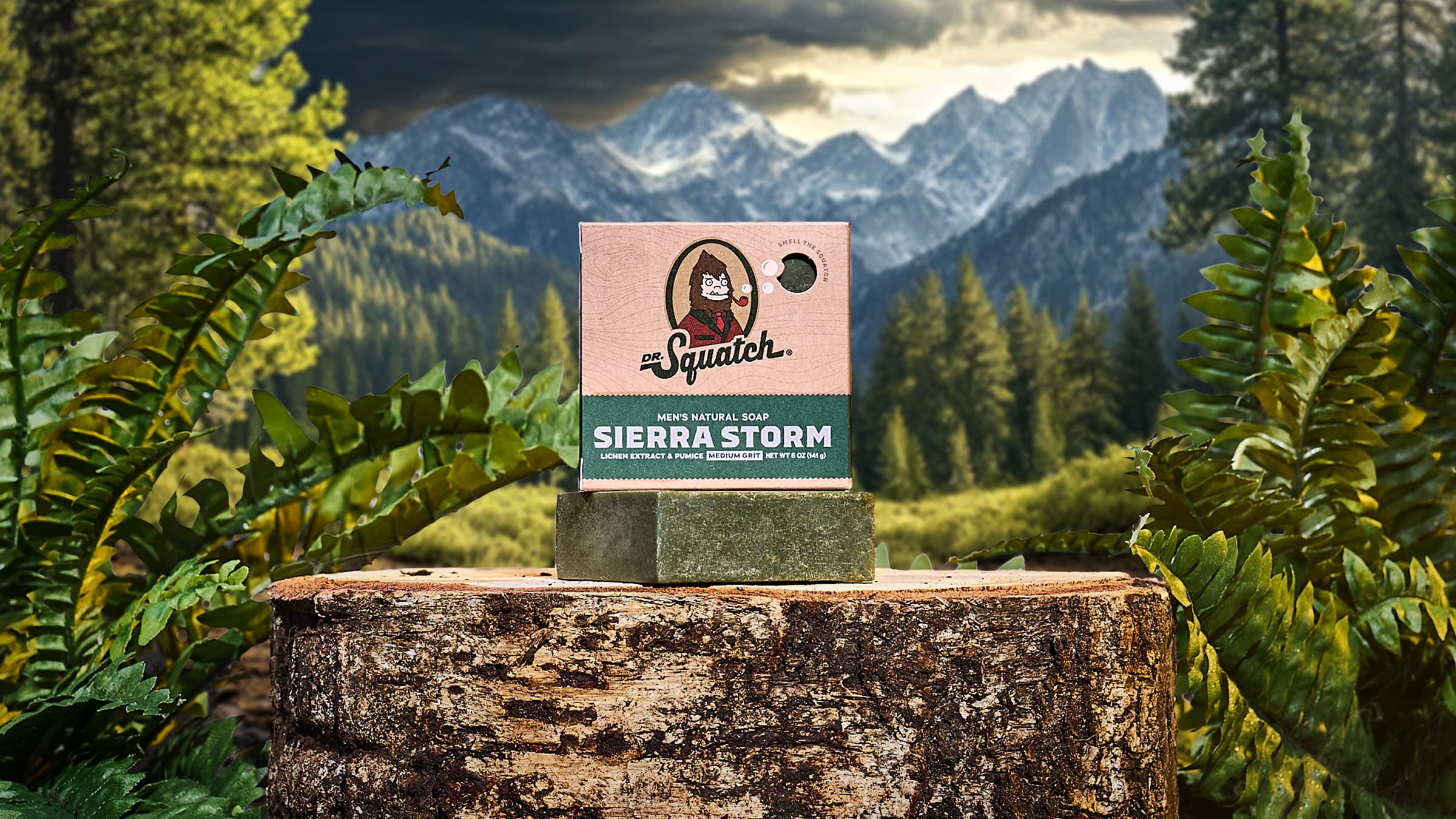 Sierra Storm - Image 3