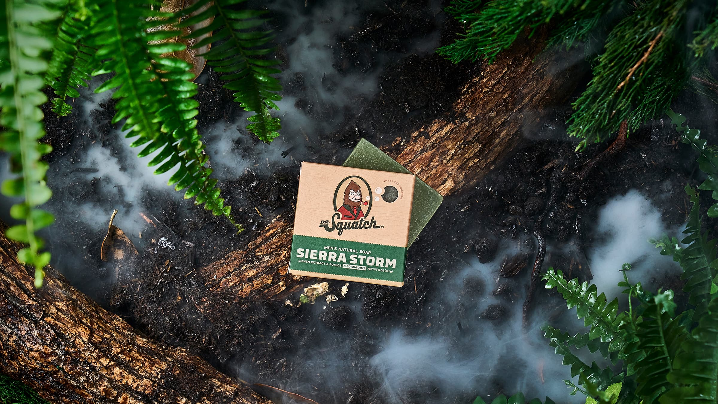 Sierra Storm - Image 4