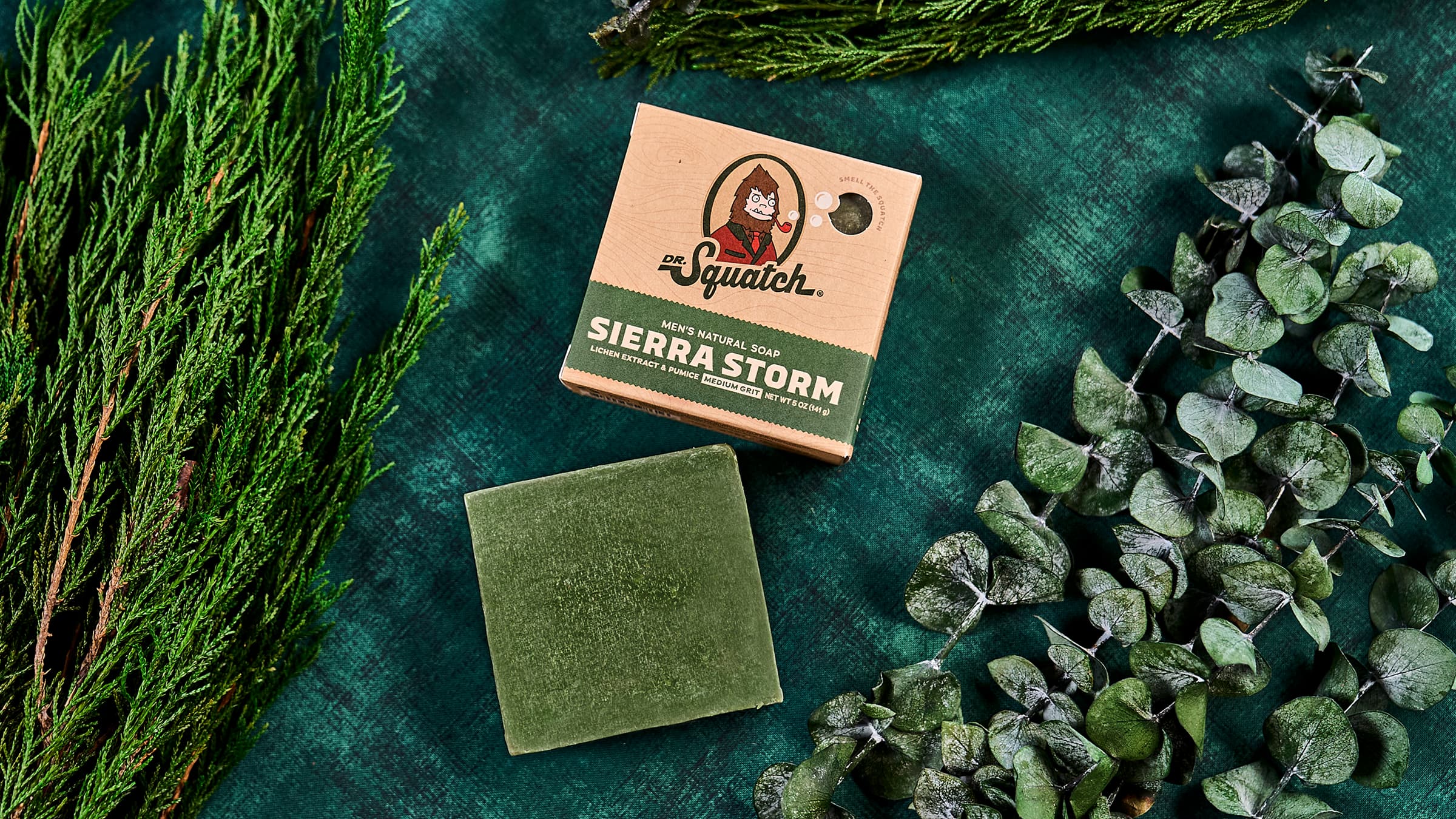 Sierra Storm - Image 5