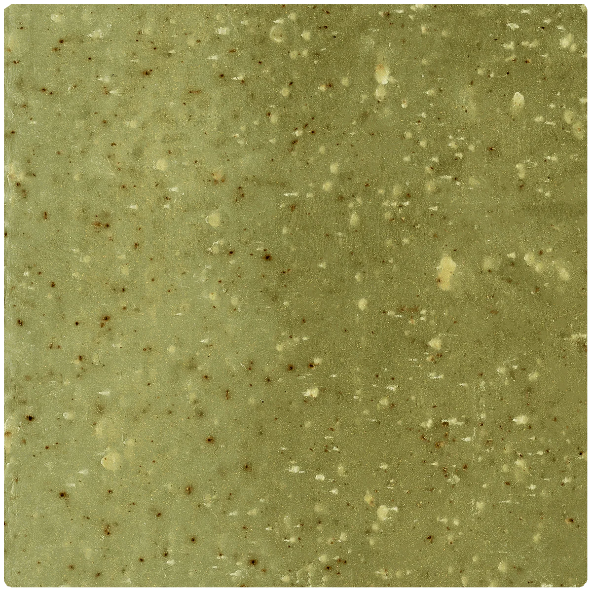 Wisdom Wash - Image 3